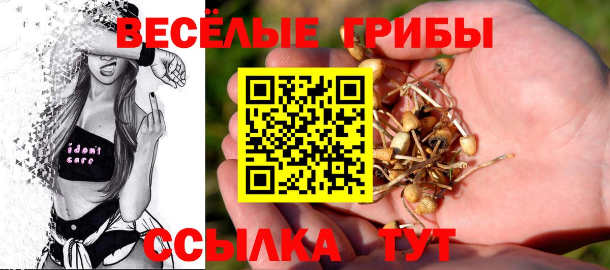 Галлюциногенные грибы GOLDEN TEACHER  Вход с VPN  Жуковский 
